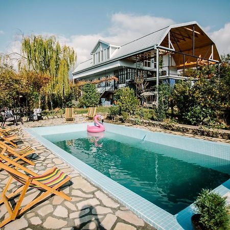 Hotel Chateau Dzveli Gavazi Akhalsopeli  Exteriér fotografie